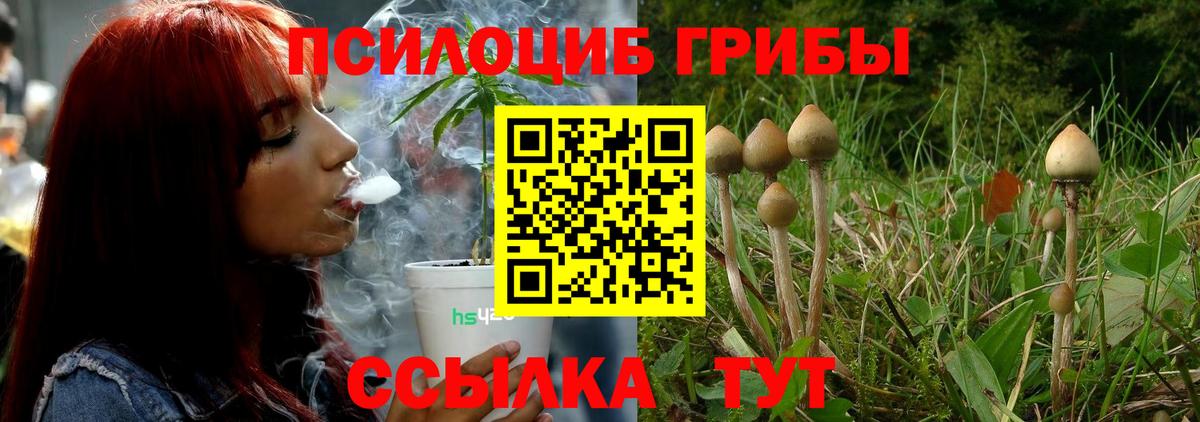 Галлюциногенные грибы Magic Shrooms Морозовск